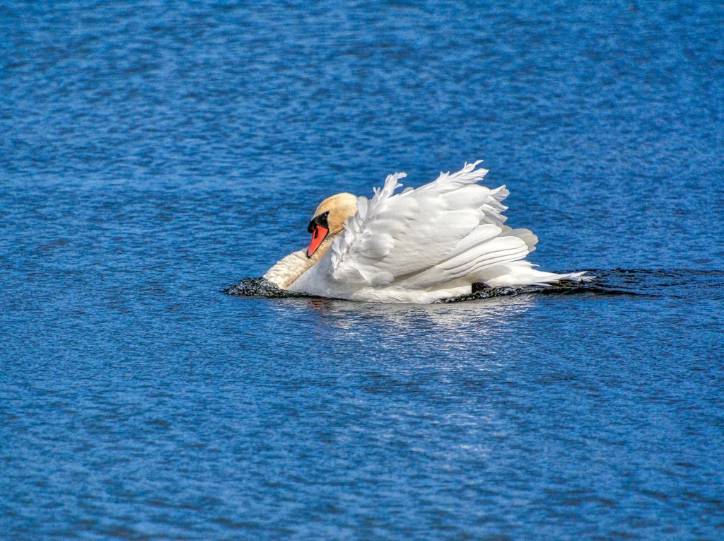 The Week In Seven&nbsp;Photos