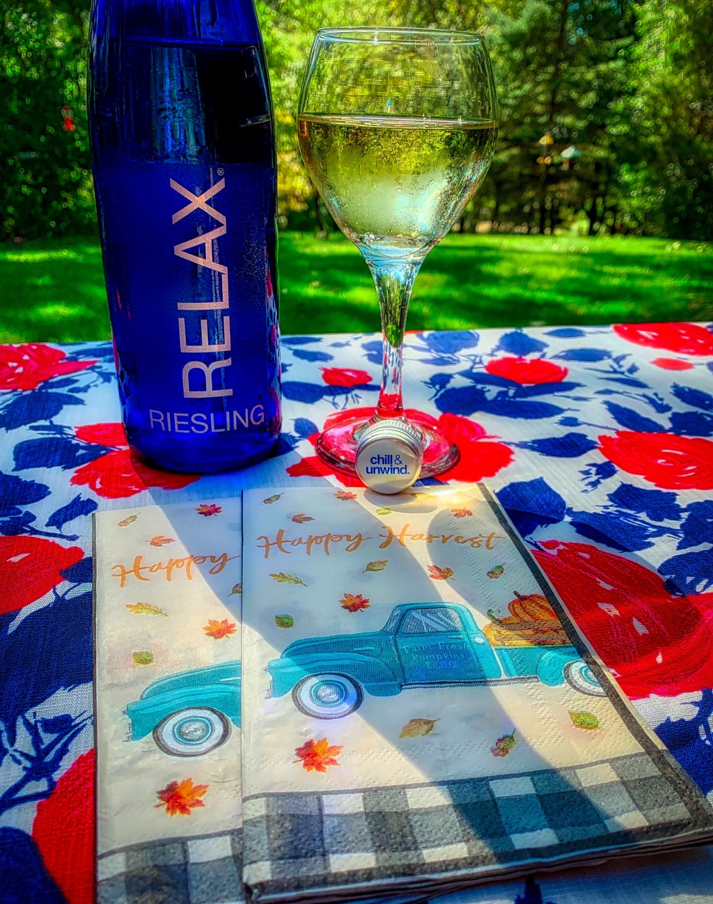 Ageless Or Aging Musings&nbsp;#1