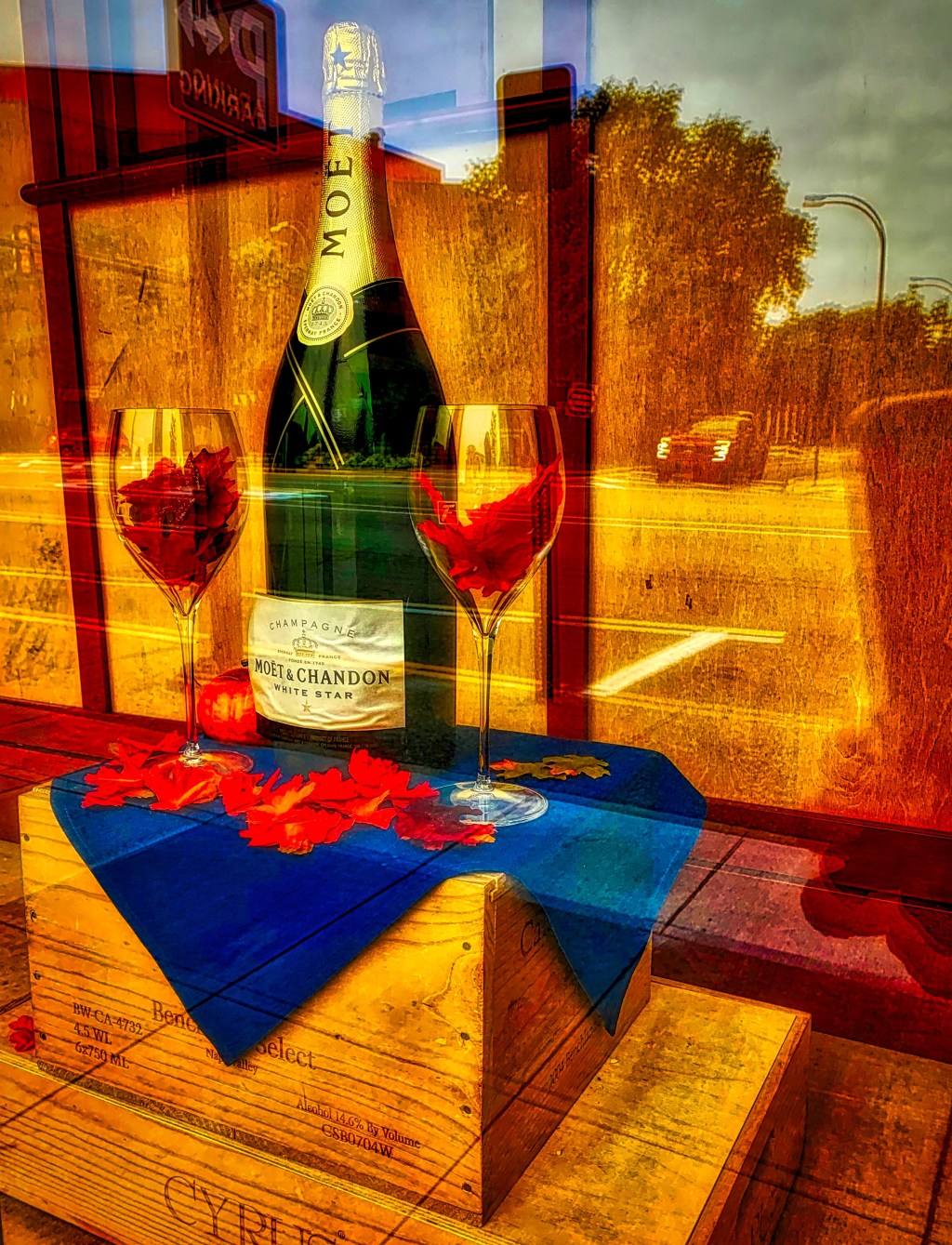 Ageless Or Aging Musings&nbsp;#3