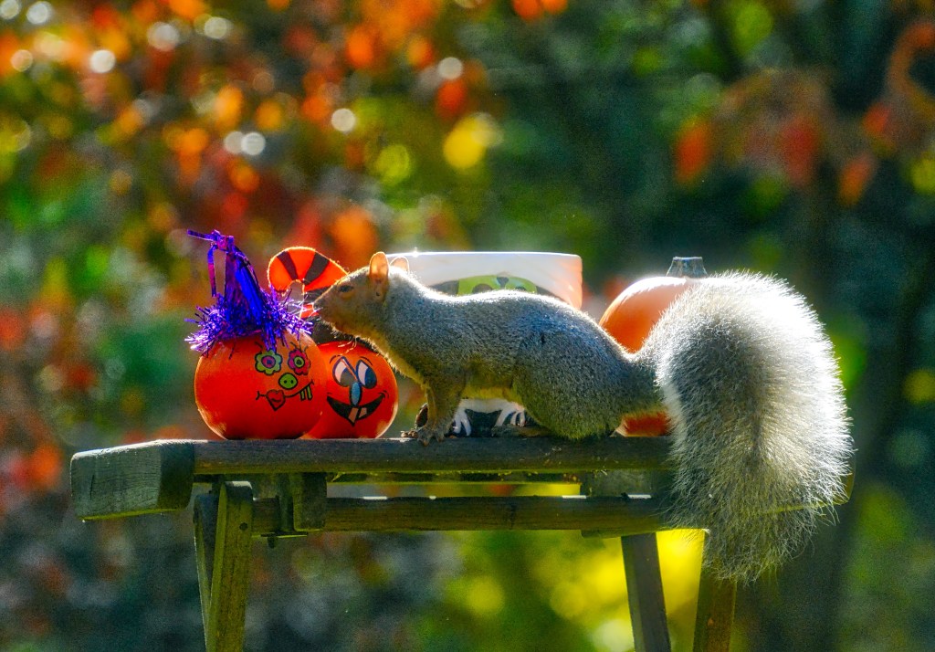 Tuesday Tunes – You Can Leave Your Hat&nbsp;On