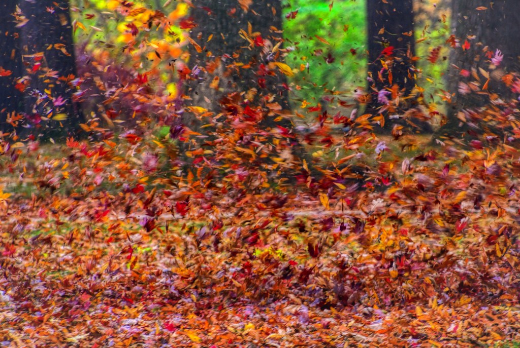 The Week In Seven&nbsp;Photos