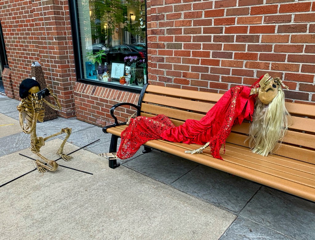 Ageless Or Aging Musings&nbsp;#4