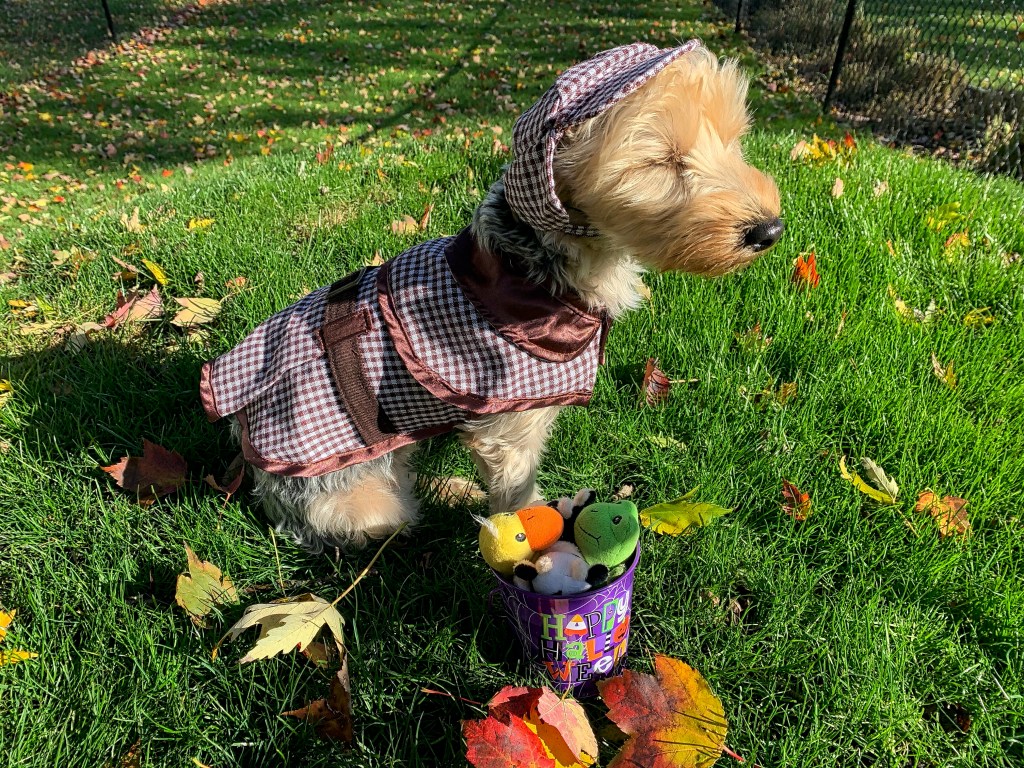 The Week In Seven&nbsp;Photos