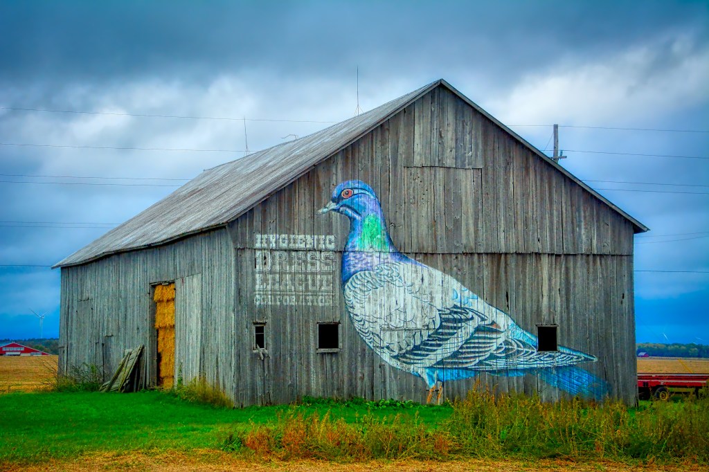 Tuesday Tunes – This Hard&nbsp;Land