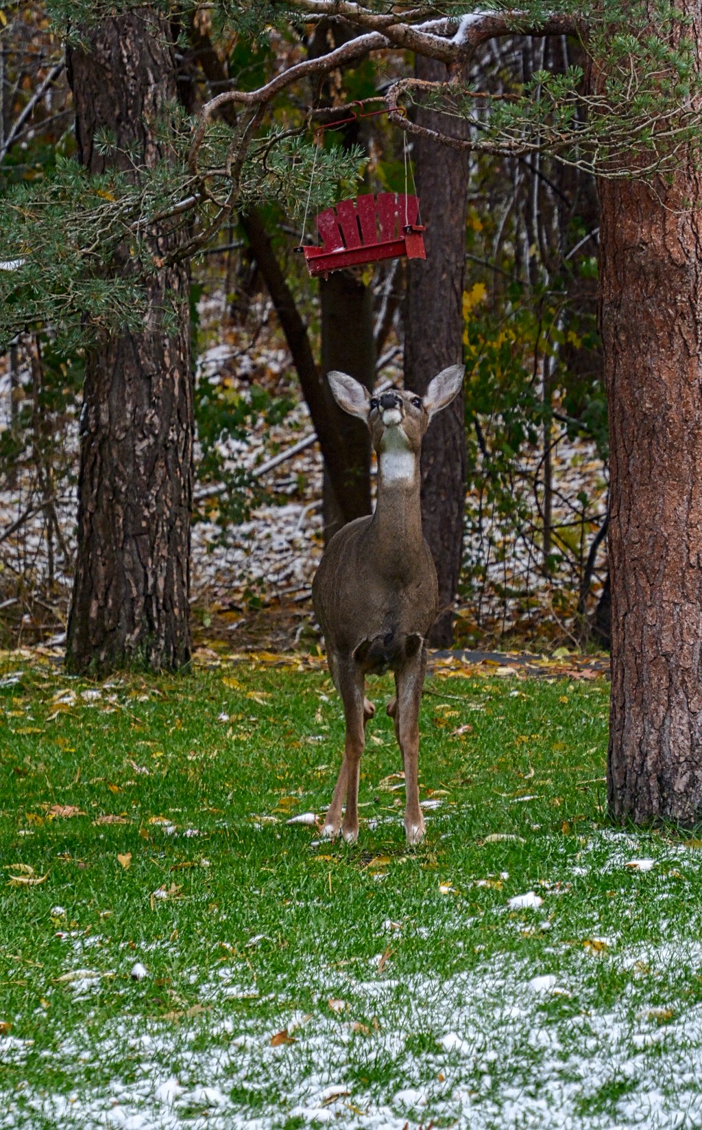 Saturday Songs – I Want&nbsp;You