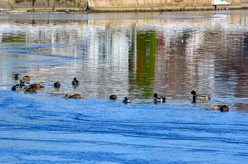 Thursday Tunes – Every Time I Think Of&nbsp;You