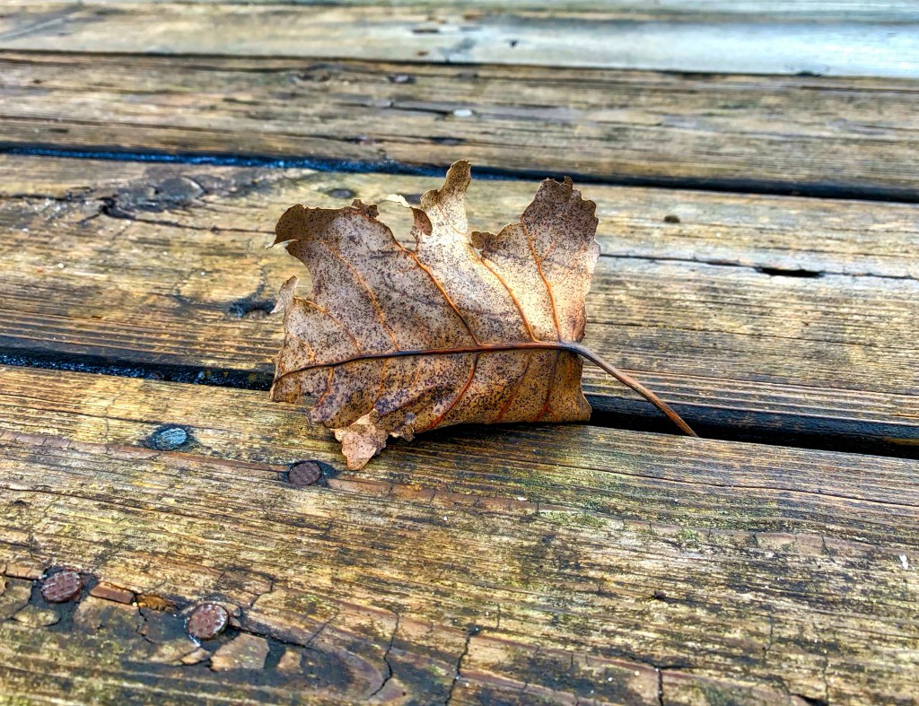 Tuesday Tunes – Ramble&nbsp;On