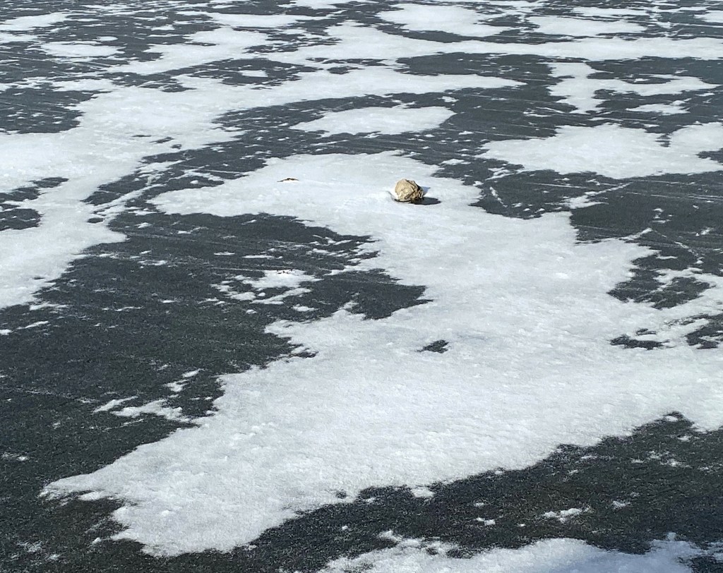 Thursday Tunes – Rock And A Hard&nbsp;Place