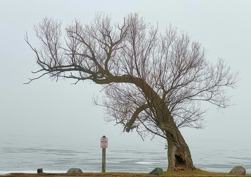 The Week In Seven Photos