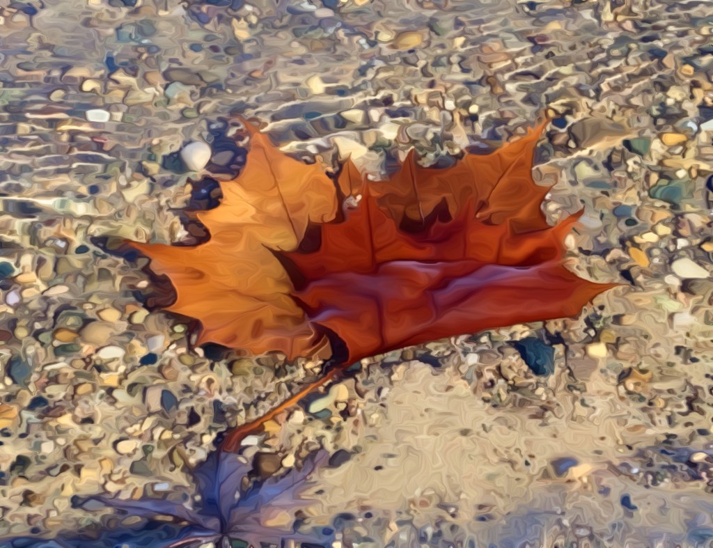 Saturday Songs – Trembling Of A&nbsp;Leaf