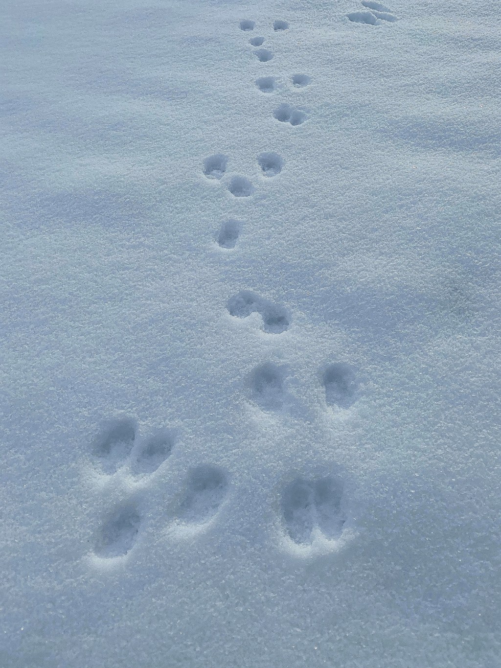 Tuesday Tunes – In Your&nbsp;Shoes