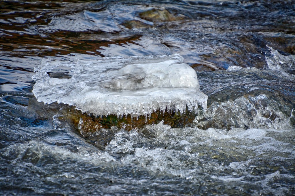 Tuesday Tunes – If I Can&nbsp;Dream