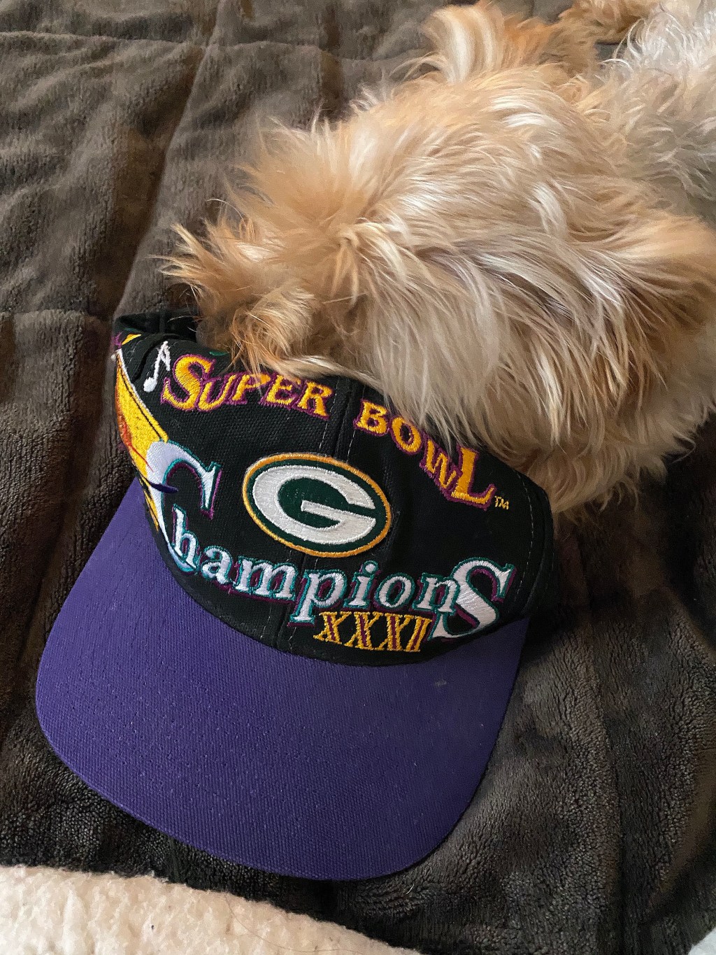 Trying To Share Favorite Super Bowl Memories and Someone Is Not&nbsp;Interested