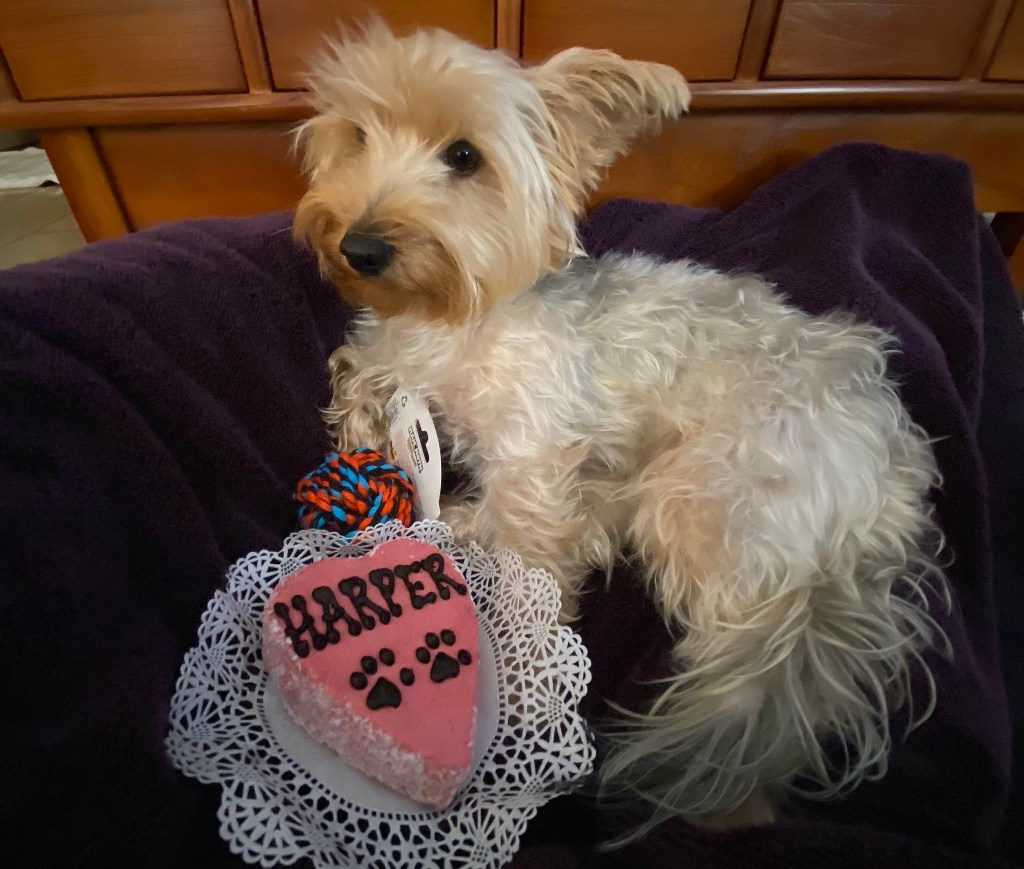 The Week In Seven&nbsp;Photos