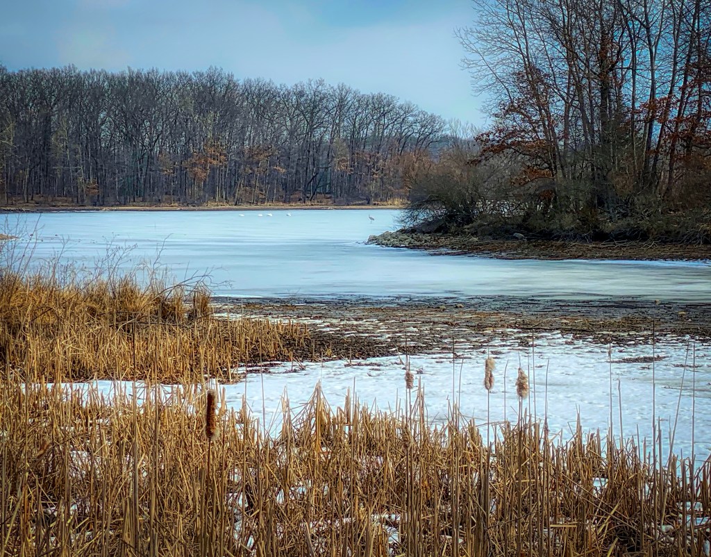 The Week In Seven&nbsp;Photos