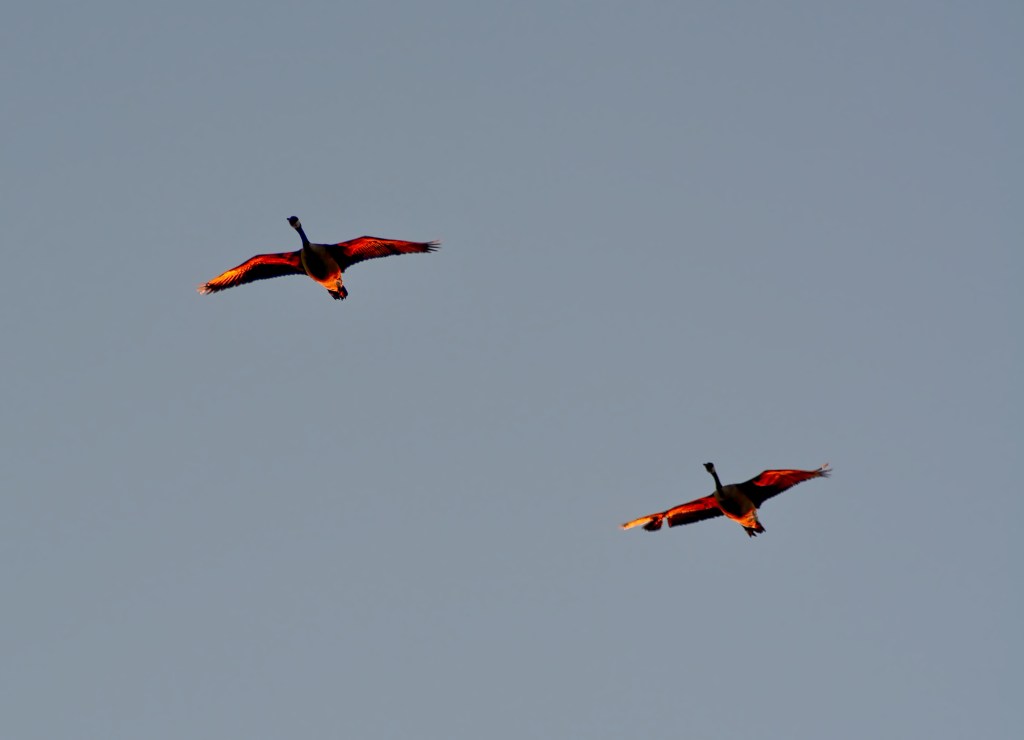 Tuesday Tunes – (Reach Up For The)&nbsp;Sunrise