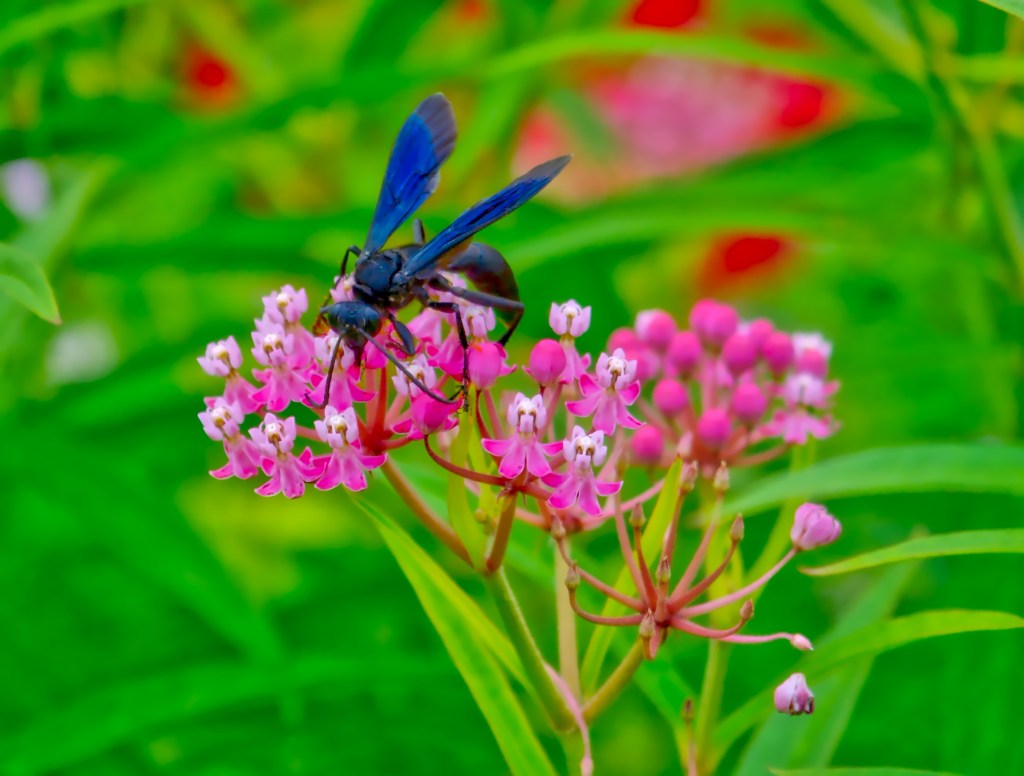 Tuesday Tunes – I Got&nbsp;Stung