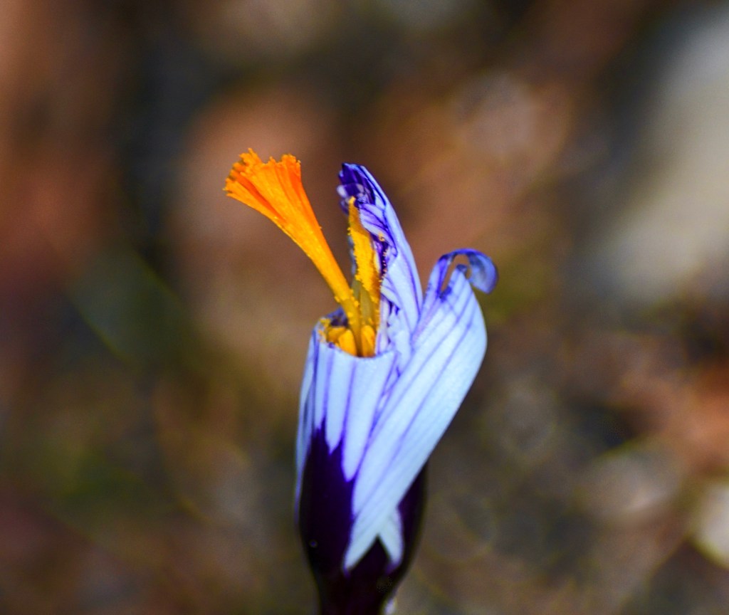 The Week In Seven&nbsp;Photos