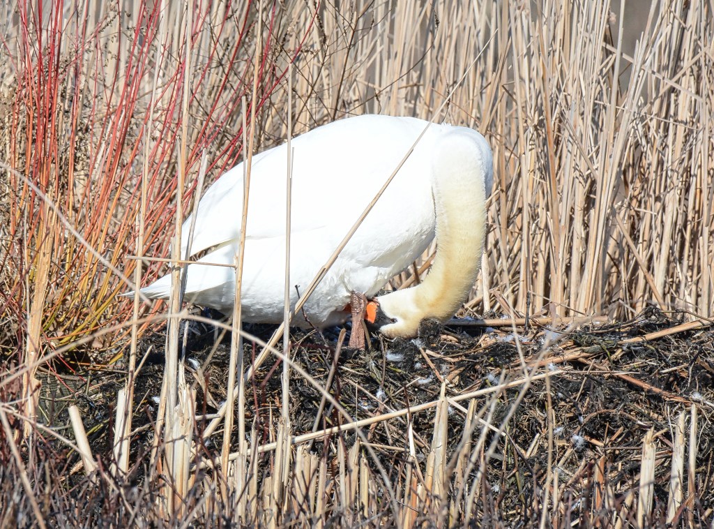 Saturday Songs – Hello In&nbsp;There