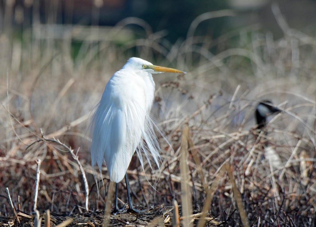 The Week In Seven Photos