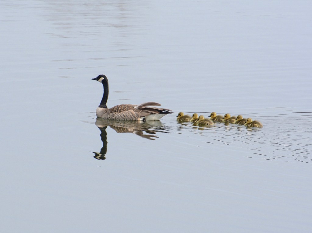 Saturday Songs – A Foggy&nbsp;Day