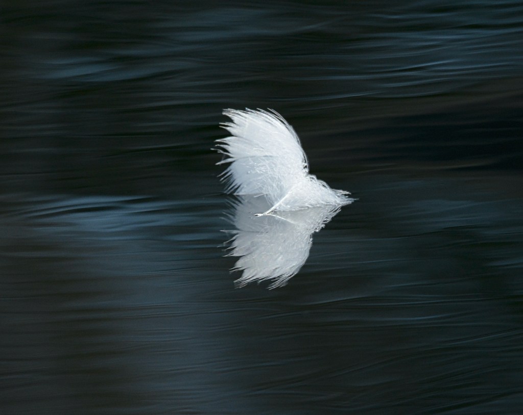 The Week In Seven&nbsp;Photos