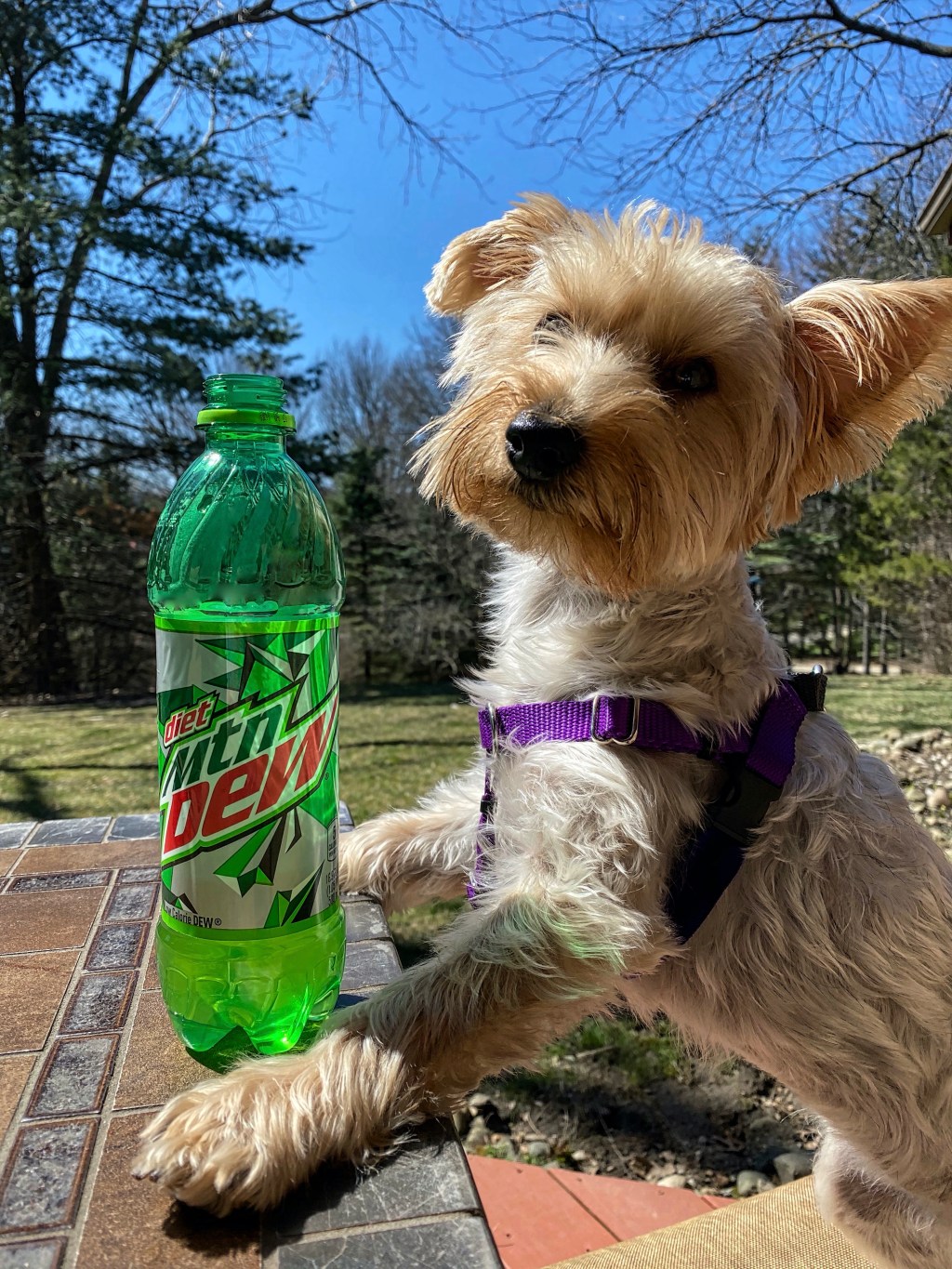 Saturday Songs – Pop&nbsp;Muzik