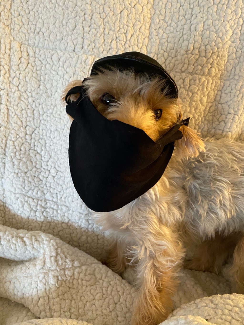 Do We Have To Do Everything&nbsp;Together???