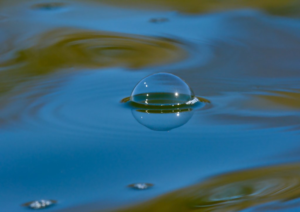 Who’s In Your&nbsp;Bubble???