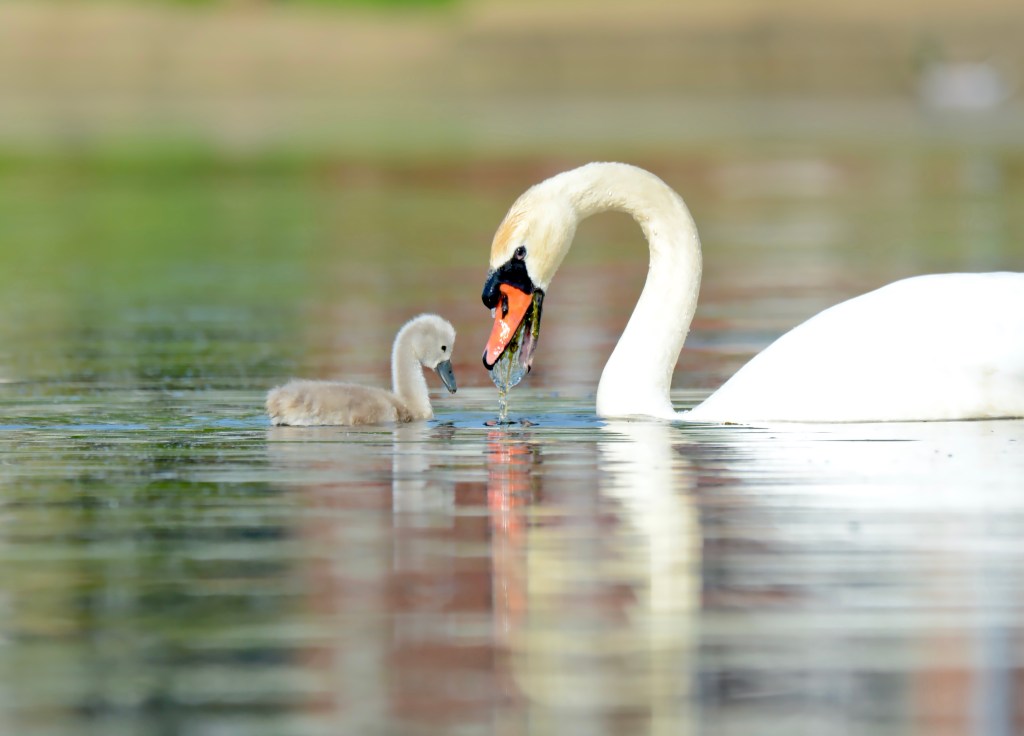 The Week In Seven&nbsp;Photos