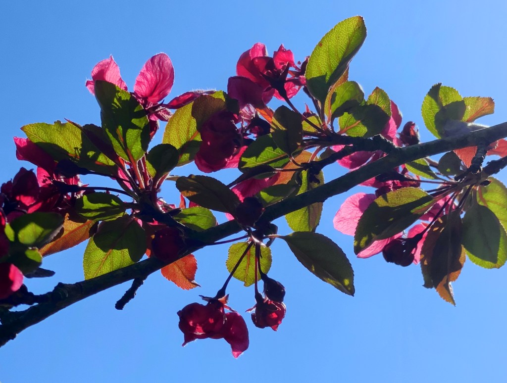 The Week In Seven&nbsp;Photos