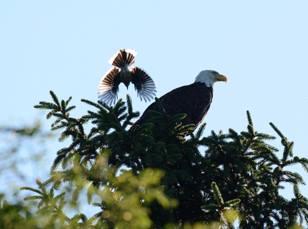 The Week In Seven&nbsp;Photos