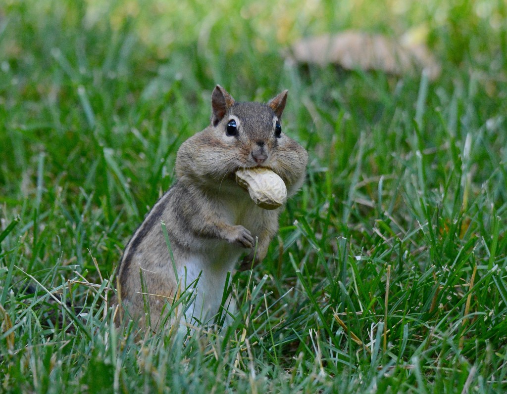 The Week In Seven Photos