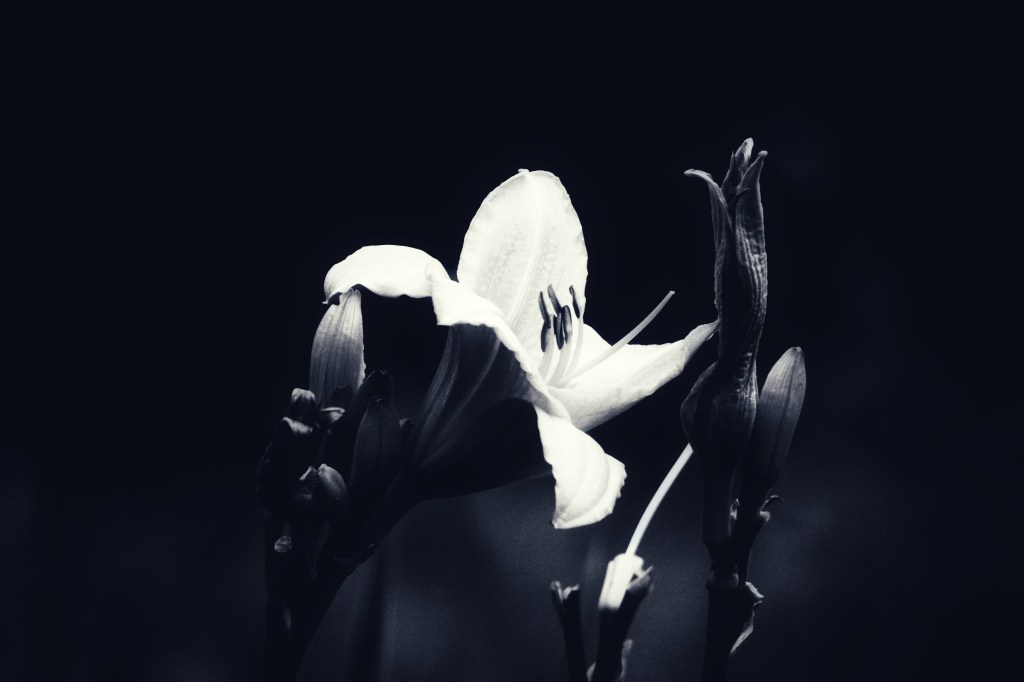 The Week In Seven&nbsp;Photos