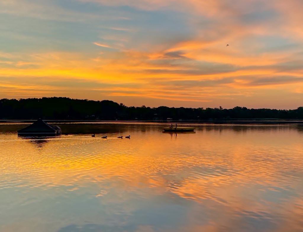 The Week In Seven Photos