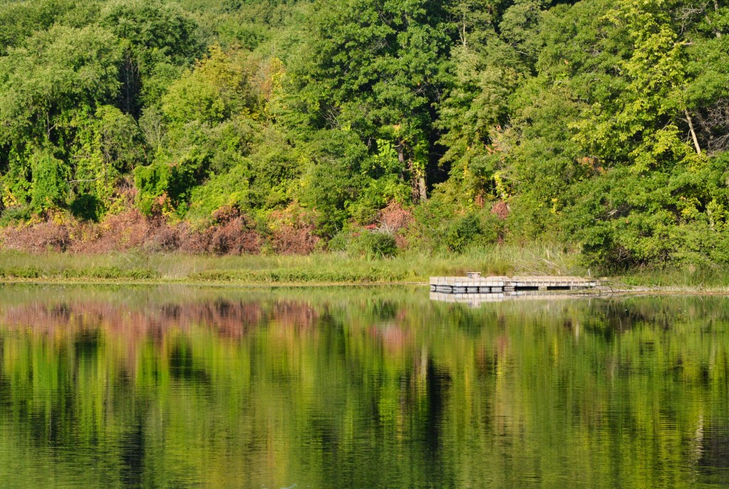 Monday Musings – 50 Word Story