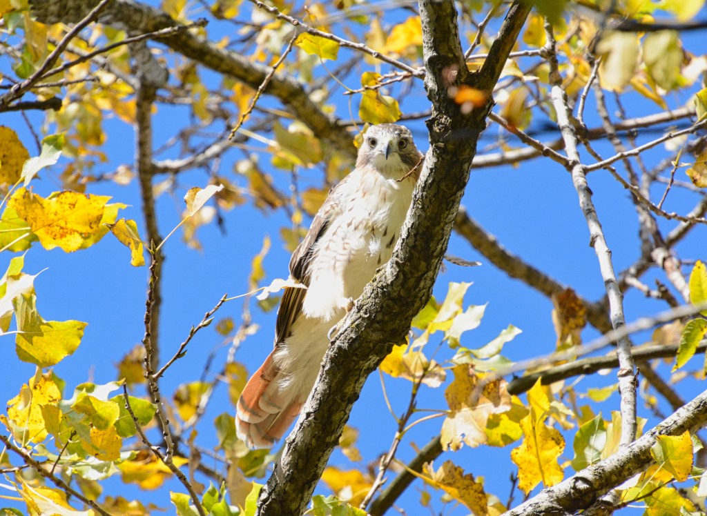 Six Word Story&nbsp;#12