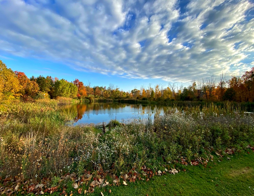 Monday Musings – 50 Word&nbsp;Story