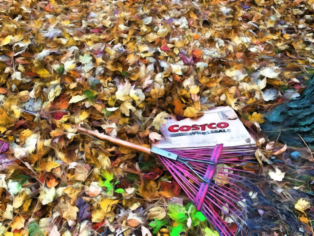 Six Word Story&nbsp;#11