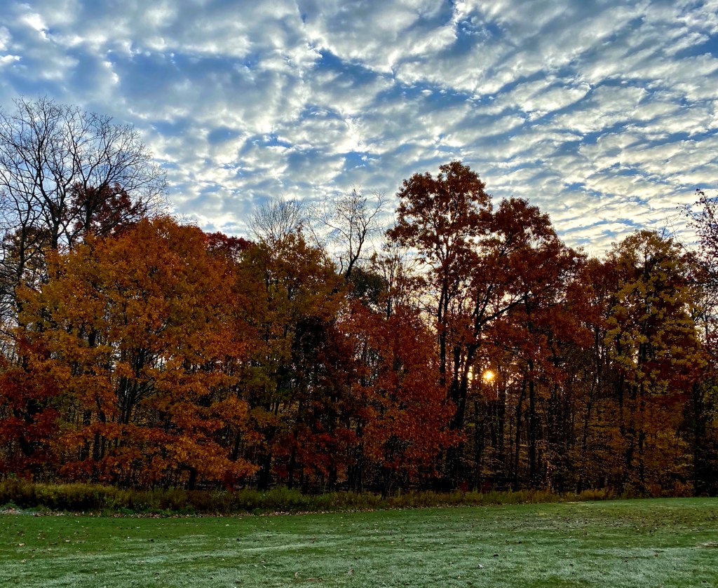 Monday Musings – 50 Word&nbsp;Story