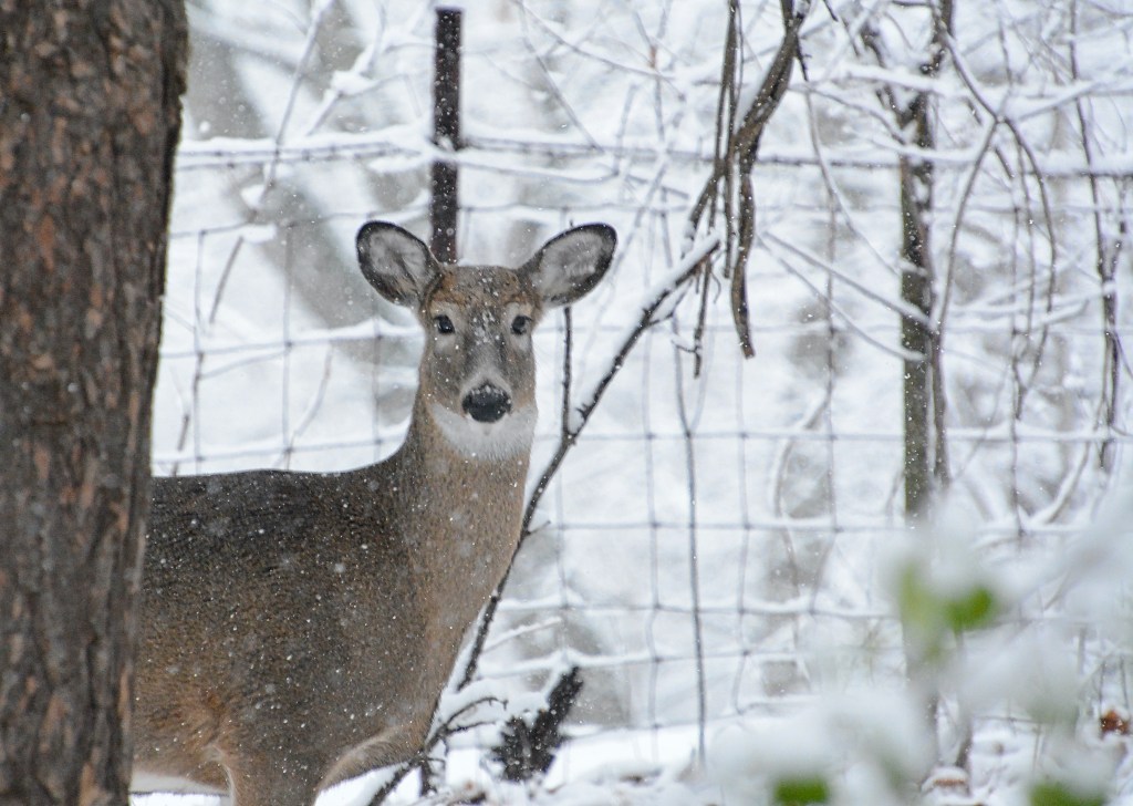 The Week In Seven Photos