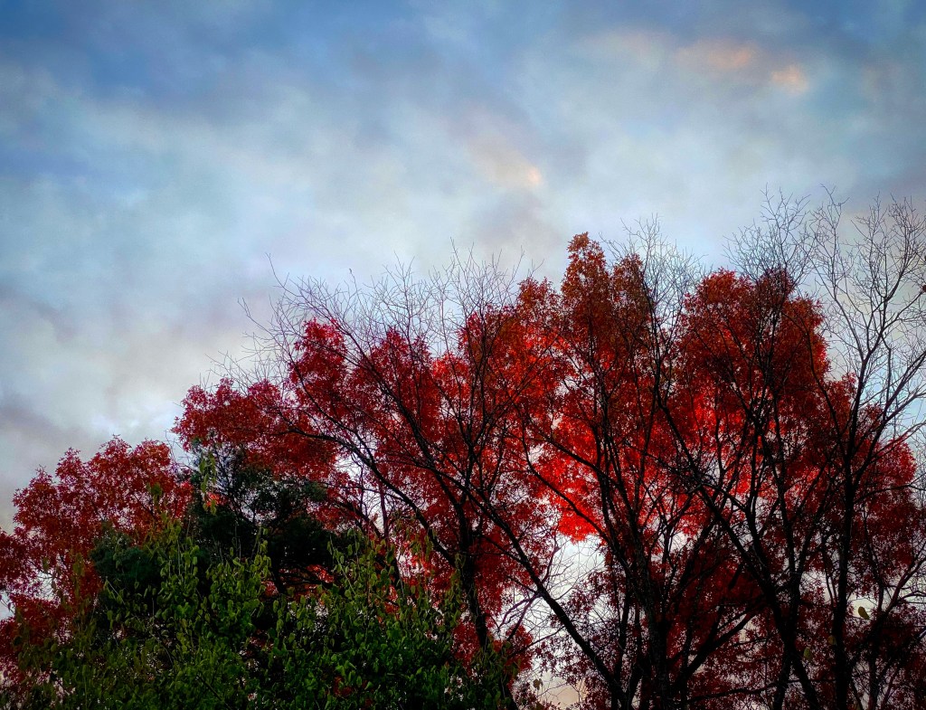 The Week In Seven&nbsp;Photos