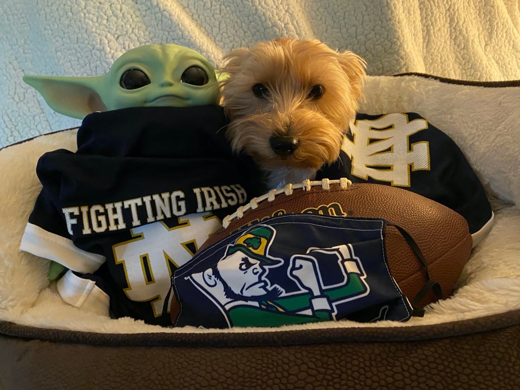 Monday Musings – 50 Word&nbsp;Story