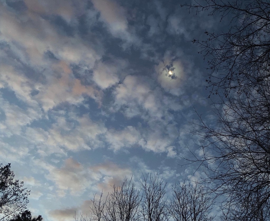 Six Word Story&nbsp;#22