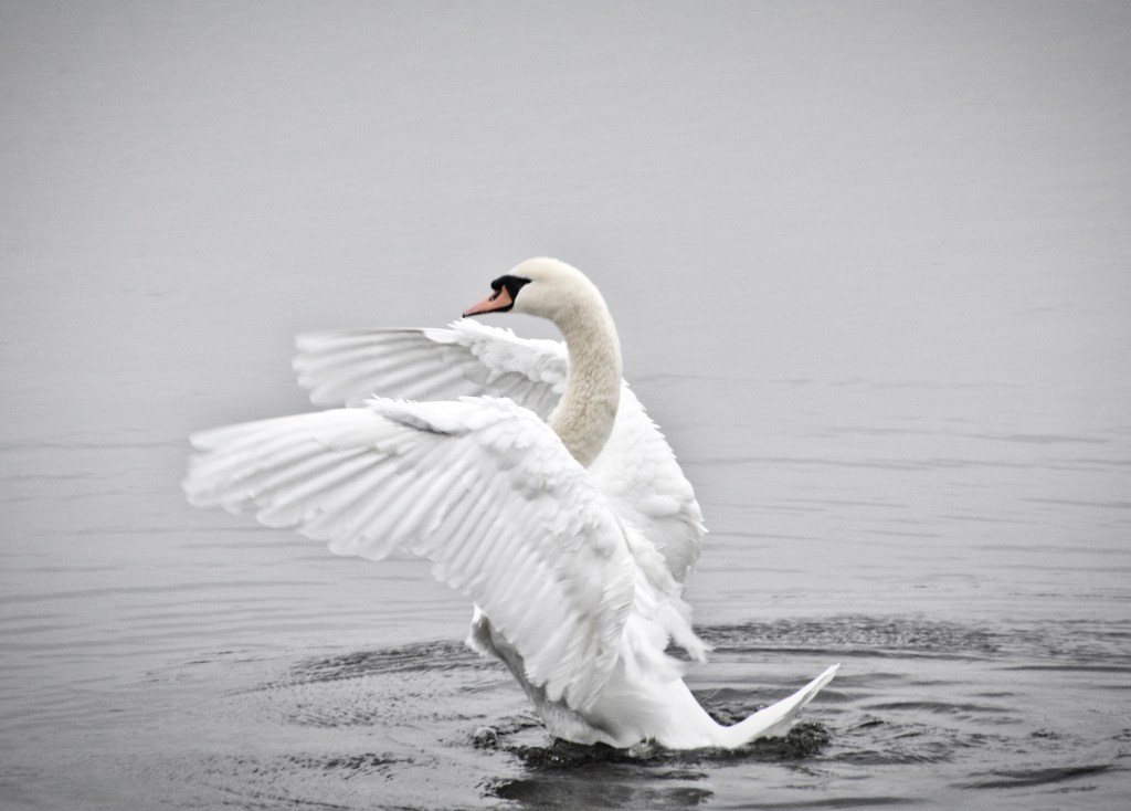 Tuesday Tunes – You Should Be Dancing