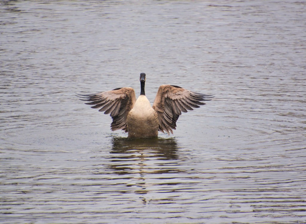 Six Word Story&nbsp;#32