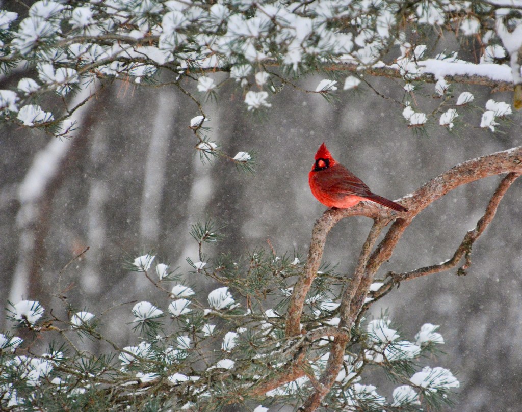 Six Word Story&nbsp;#31