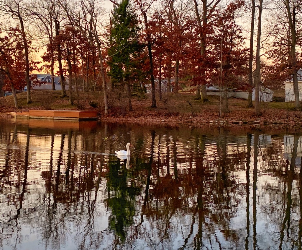 The Week In Seven&nbsp;Photos