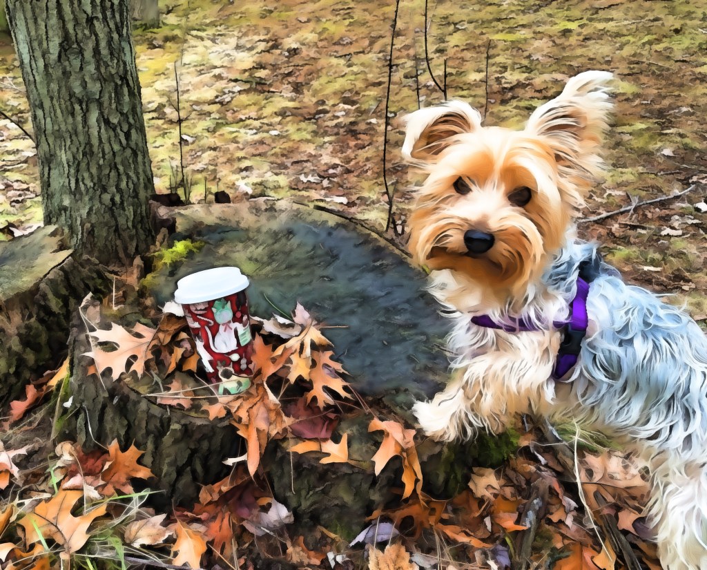 Monday Musings – 50 Word Story