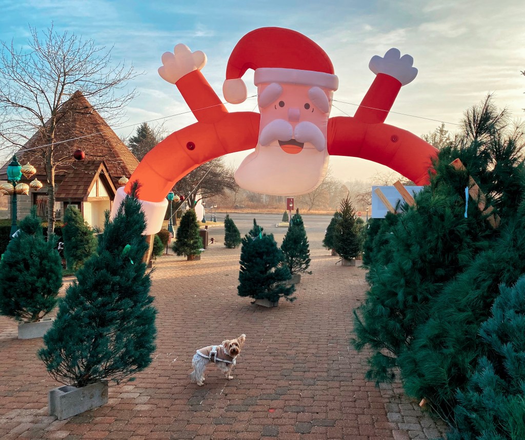 Saturday Songs – Santa Claus Is Comin’ To&nbsp;Town